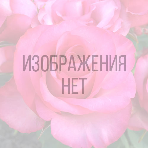 Краснощекий